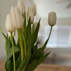 Meet your Posher, Ren